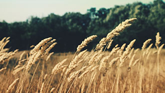 电话轰在线轰炸平台自助下单