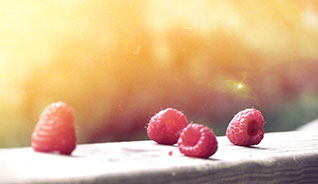 短信轰在线轰炸免费下载